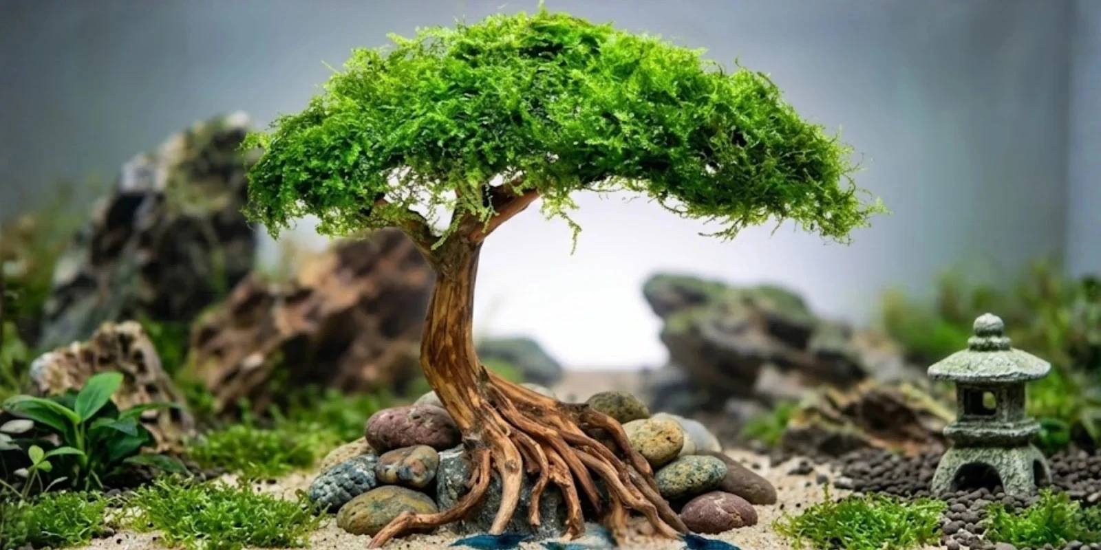 Bonsai-inspired aquatic landscape · reference
