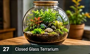 Closed Terrarium · representative reference