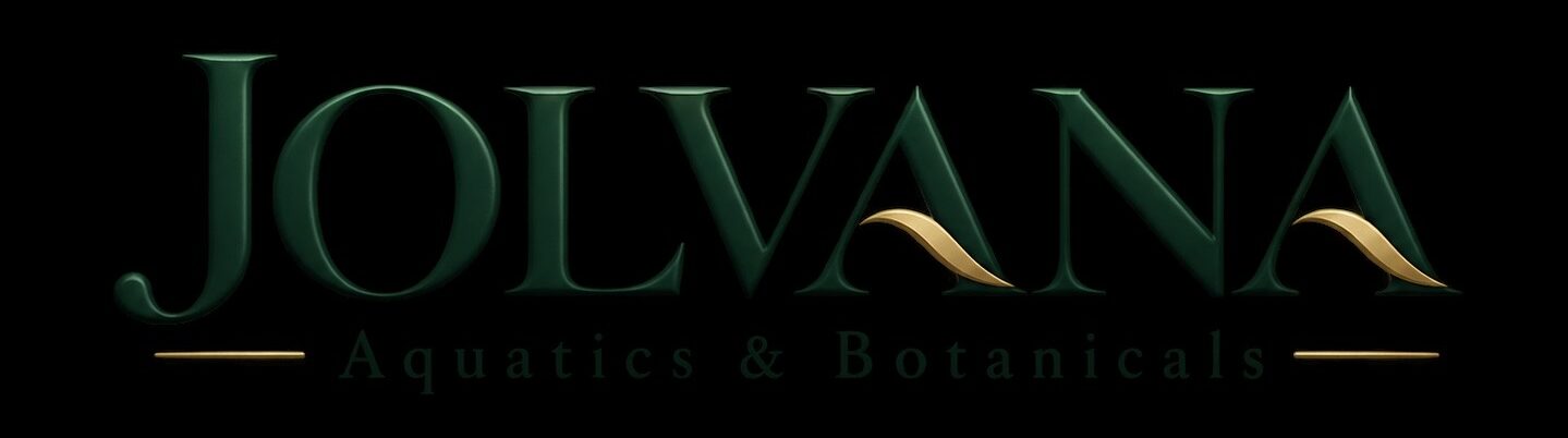 Jolvana